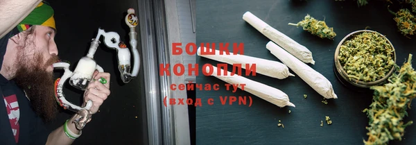 ПСИЛОЦИБИНОВЫЕ ГРИБЫ Ладушкин