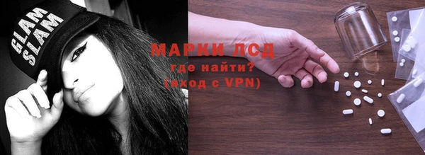шишки Лабытнанги