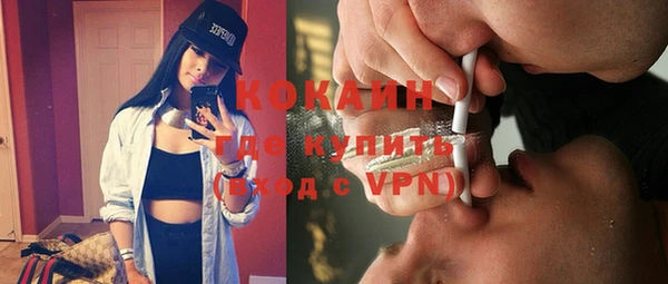 шишки Лабытнанги