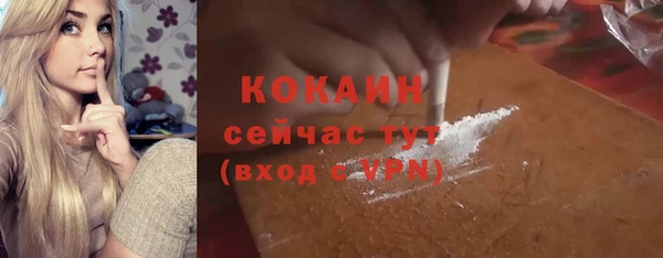 шишки Лабытнанги