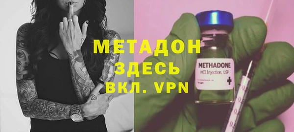 шишки Лабытнанги