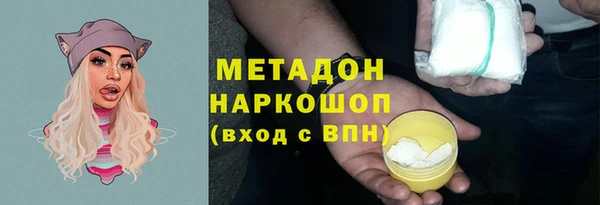 шишки Лабытнанги