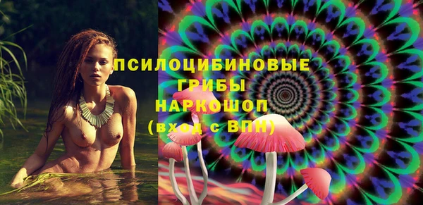 ПСИЛОЦИБИНОВЫЕ ГРИБЫ Ладушкин