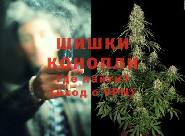 шишки Лабытнанги