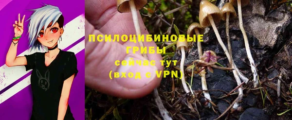 шишки Лабытнанги