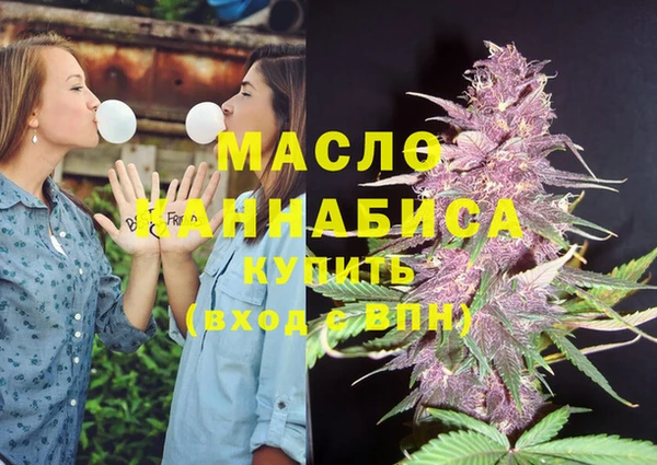 шишки Лабытнанги