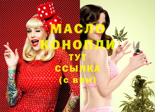 шишки Лабытнанги
