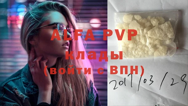шишки Лабытнанги