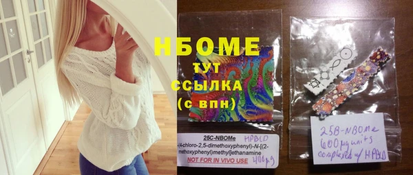 шишки Лабытнанги